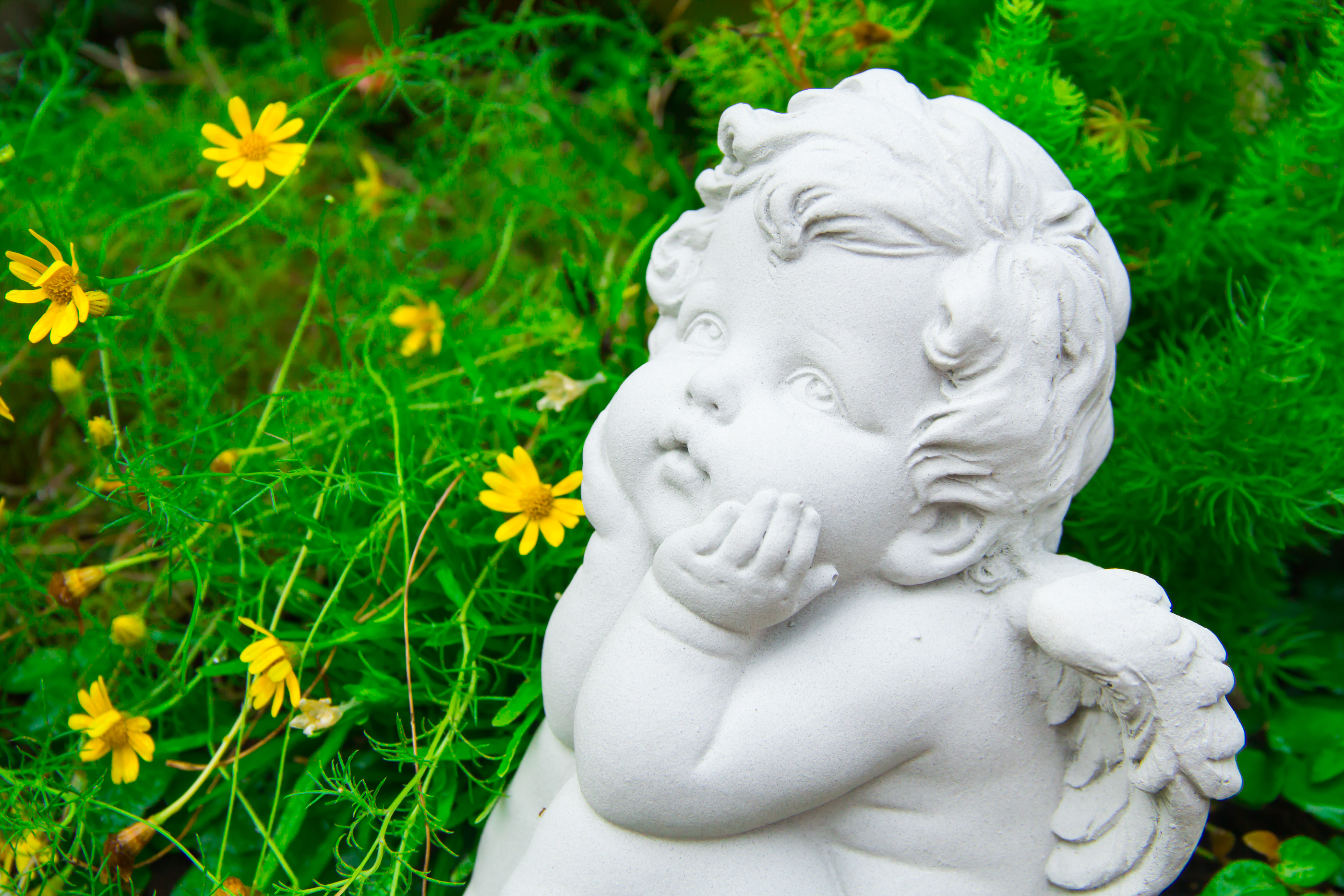 Summer is Here: A Guide to Gifting Garden Memorials