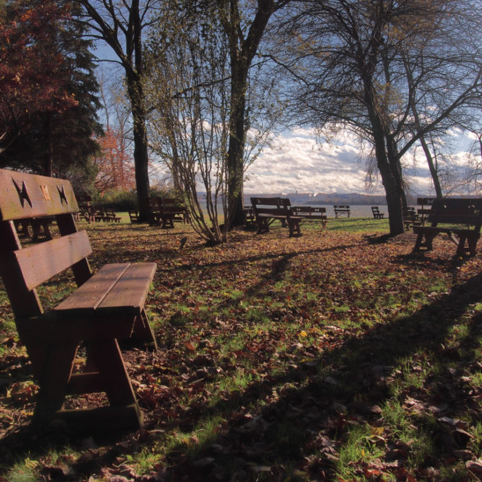 How to Properly Maintain a Memorial Garden Bench
