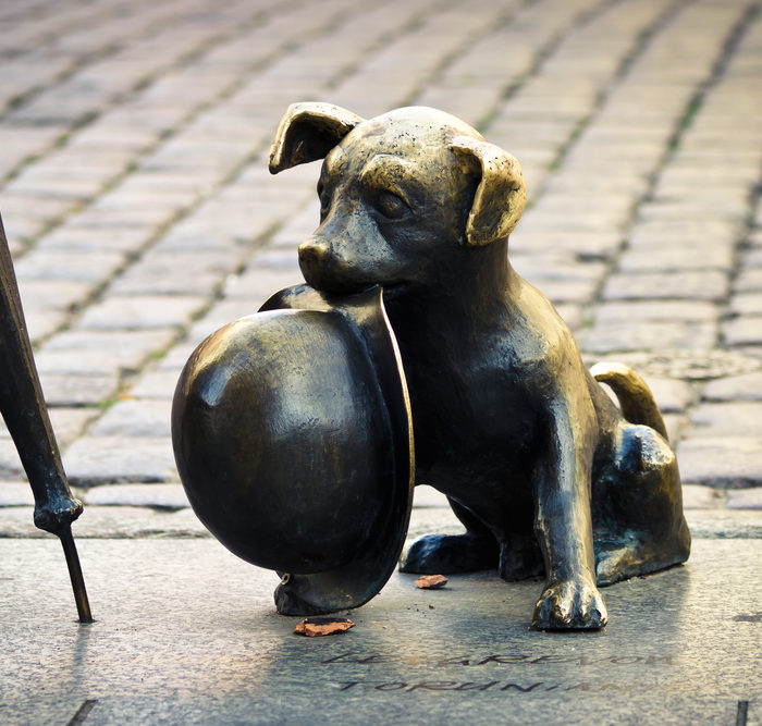 From Garden Memorials to Pet Memorial Tokens: Unique Ways to Remember Your Pet